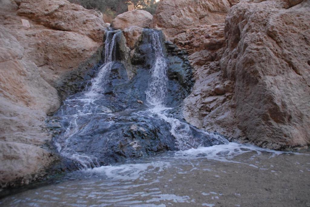 Ein Gedi Rooms Неве-Зоар Экстерьер фото