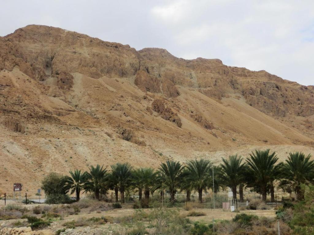Ein Gedi Rooms Неве-Зоар Экстерьер фото