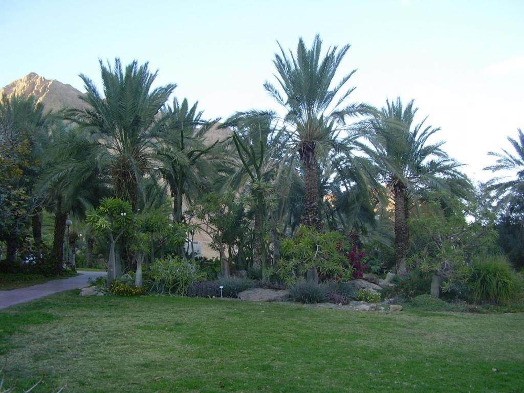 Ein Gedi Rooms Неве-Зоар Экстерьер фото